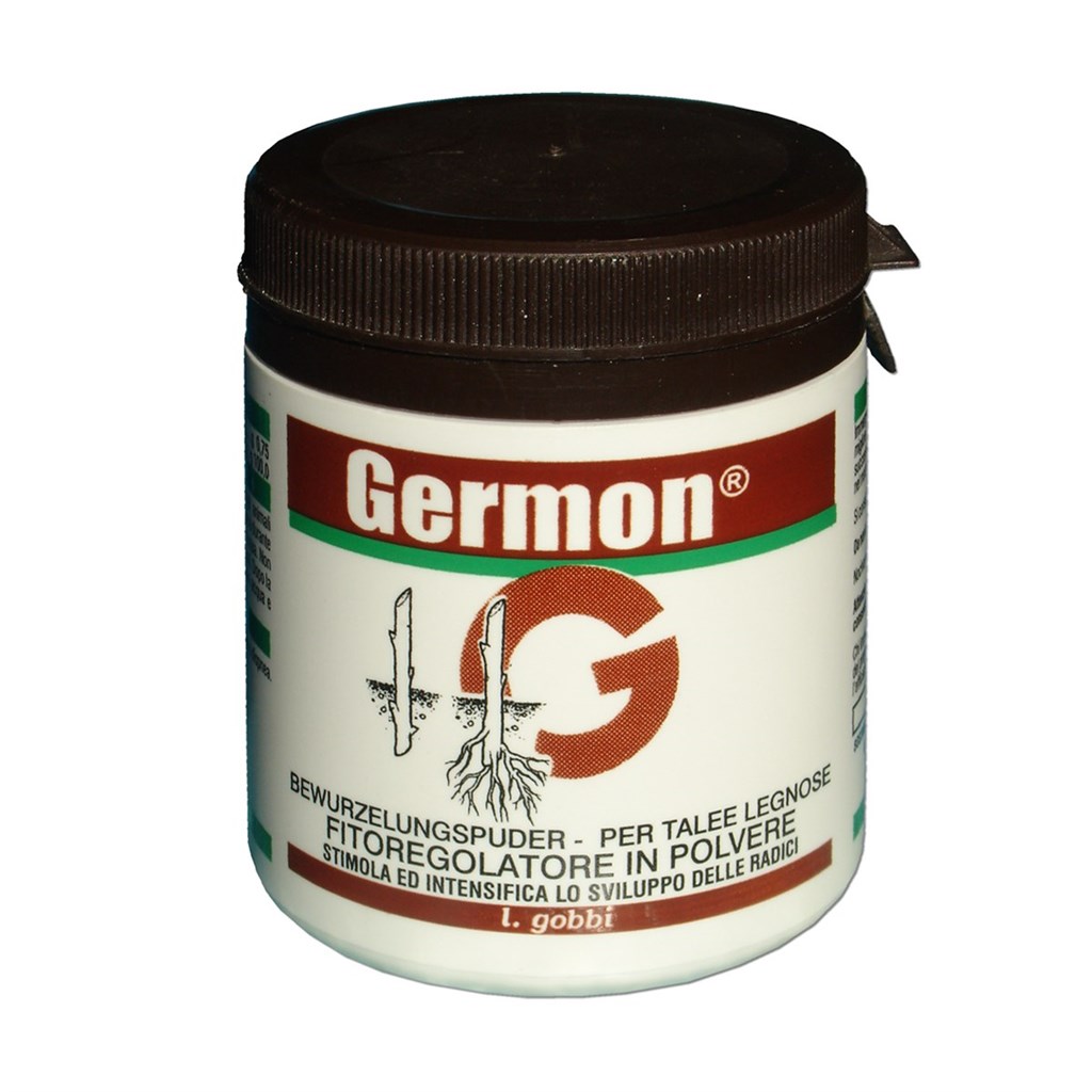 GERMON TALEE LEGNOSE GOBBI - GR100 PFNPE